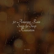 50 Amazing Rain Songs for Sleep Relaxation
