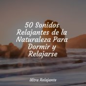 50 Sonidos Relajantes de la Naturaleza Para Dormir y Relajarse