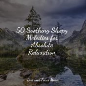 50 Soothing Sleepy Melodies for Absolute Relaxation