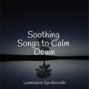 Soothing Songs to Calm Down