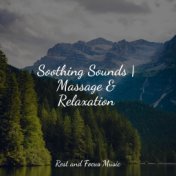 Soothing Sounds | Massage & Relaxation