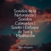 Sonidos de la Naturaleza | Sonidos Calmantes | Sueño | Enfoque de Spa y Meditación