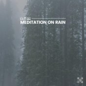 Meditation on Rain