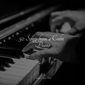 50 Songs from a Calm Piano
