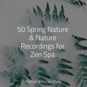 50 Spring Nature & Nature Recordings for Zen Spa
