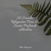 50 Sonidos Relajantes Para Un Sueño Profundo Absoluto
