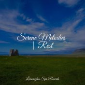 Serene Melodies | Rest