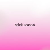 Stick Season (Slowed + Reverb)