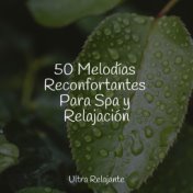 50 Melodías Reconfortantes Para Spa y Relajación