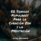 50 Sonidos Populares Para la Curación Zen y la Meditación