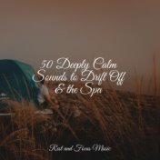 50 Deeply Calm Sounds to Drift Off & the Spa