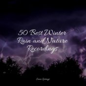 50 Best Winter Rain and Nature Recordings