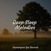 Deep Sleep Melodies