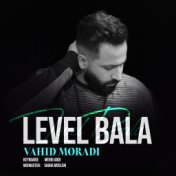 Level Bala