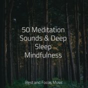 50 Meditation Sounds & Deep Sleep Mindfulness