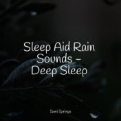 50 Pleasant Rain Droplet Tracks