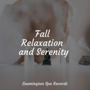 Fall Relaxation and Serenity