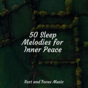 50 Sleep Melodies for Inner Peace