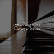 Soft Melodies for a Calming Ambience