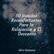 50 Sonidos Reconfortantes Para la Relajación y El Descanso