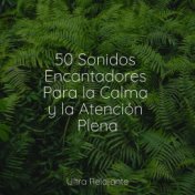 50 Sonidos Encantadores Para la Calma y la Atención Plena