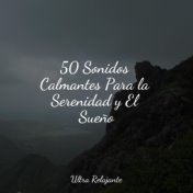 50 Sonidos Calmantes Para la Serenidad y El Sueño