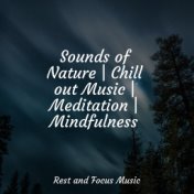 Sounds of Nature | Chill out Music | Meditation | Mindfulness