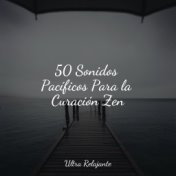 50 Sonidos Pacíficos Para la Curación Zen