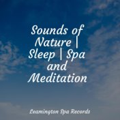 Sounds of Nature | Sleep | Spa and Meditation