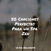 50 Canciones Perfectas Para Un Spa Zen