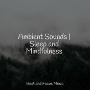 Ambient Sounds | Sleep and Mindfulness