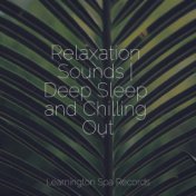 Relaxation Sounds | Deep Sleep and Chilling Out