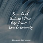 Sounds of Nature | New Age Music | Spa & Serenity