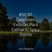 #50 50 Canciones Exóticas Para Calmar El Spa y Dormir