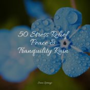 50 Stress Relief Peace & Tranquility Rain