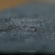 Relajación en la Naturaleza y Sueño Profundo