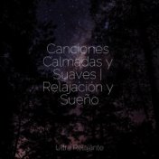 Canciones Calmadas y Suaves | Relajación y Sueño