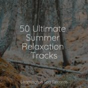 50 Ultimate Summer Relaxation Tracks