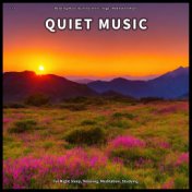 ! ! ! ! Quiet Music for Night Sleep, Relaxing, Meditation, Studying