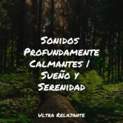 Sonidos Profundamente Calmantes | Sueño y Serenidad