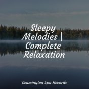 Sleepy Melodies | Complete Relaxation