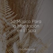 50 Música Para la Meditación en El Spa