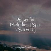 Powerful Melodies | Spa & Serenity