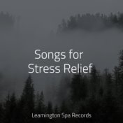 Songs for Stress Relief