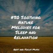 #50 Soothing Nature Melodies for Sleep and Relaxation