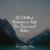 50 Chillout Melodies to Help You Focus and Relax