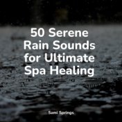 50 Serene Rain Sounds for Ultimate Spa Healing