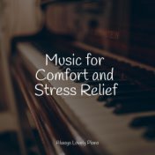 Music for Comfort and Stress Relief