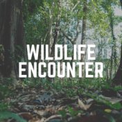 Wildlife Encounter