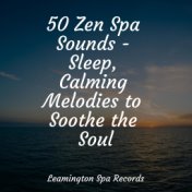 50 Zen Spa Sounds - Sleep, Calming Melodies to Soothe the Soul